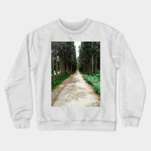 Walk in the woods Crewneck Sweatshirt